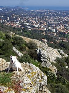 le-patrimoine-naturel