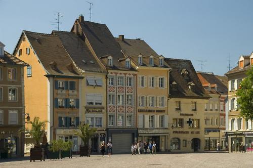 visite-de-mulhouse-et-de-ses-musees visite-de-mulhouse-et-de-ses-musees