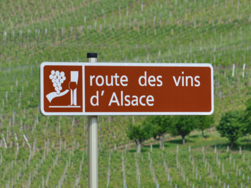 Jour 2 : Route des vins <