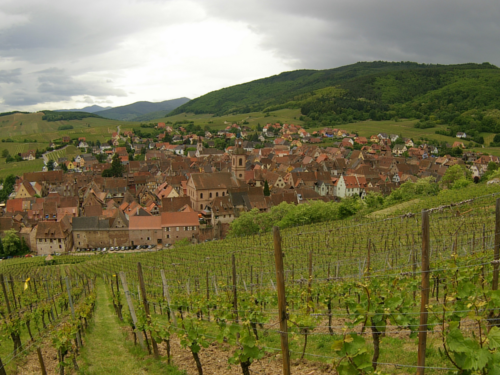 Jour 3 : Riquewihr <