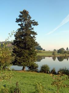 le-lac-de-saint-point