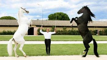 visite-du-haras-national