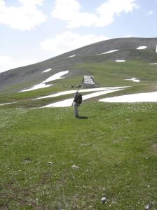 sur-les-traces-du-loup