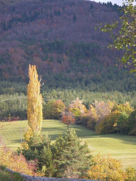 guide-sur-les-sentiers-de-la-lavande-fine