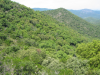 biodynamie-en-cote-de-provence