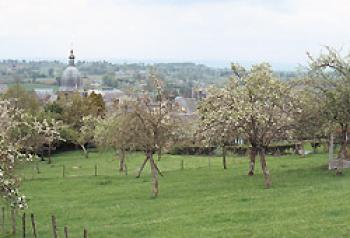 vire-et-les-alentours