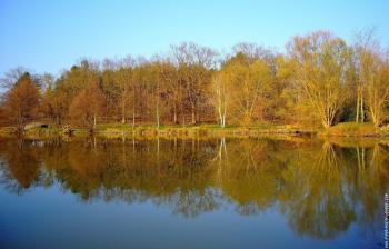 parc-forestier