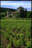 gevrey-chambertin