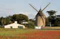 le-bois-plage-en-re