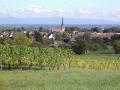 wuenheim wuenheim